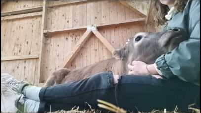 Saskia & Eira
