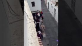 Terrible accidente en el Toro Embolao de Vejer de la Frontera