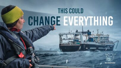 What’s Happening in Antarctica Threatens More Than You Think
