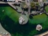Après l’isolement et la souffrance à Marineland, Fox a été envoyé vers une exploitation sans fin