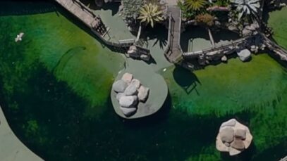 Après l’isolement et la souffrance à Marineland, Fox a été envoyé vers une exploitation sans fin