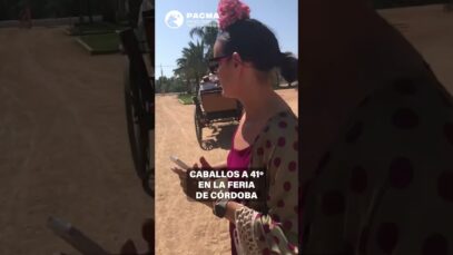 Caballos a 41 ºC en la Feria de Córdoba