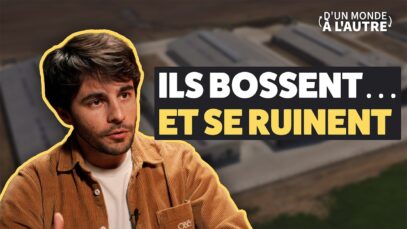 Ces éleveurs qu’on admire… mais que l’industrie sacrifie
