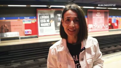 El MALTRATO ANIMAL de la INDUSTRIA LÁCTEA en el METRO de MADRID