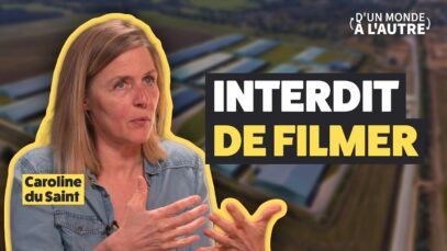 Pourquoi on ne montre jamais les vrais élevages – Caroline du Saint