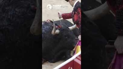 SAN ISIDRO COMPASIÓN