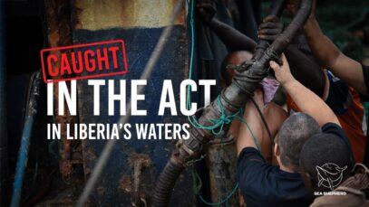 Shocking Discovery in Liberia: Two Vessels Busted for Illegal Operations