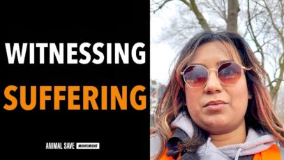 The Importance of Witnessing Suffering