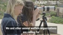 #BanLiveExports Day 2025 – No animal belongs on a vessel!