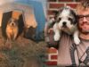 From Chained to Cherished: This Dog Dad Changed Her Life