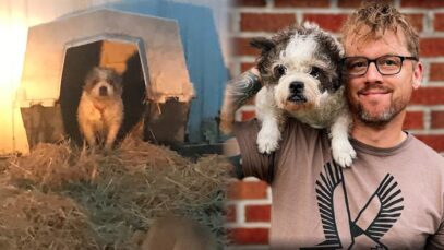 From Chained to Cherished: This Dog Dad Changed Her Life