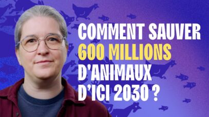 Le Sauvetage du siècle : une campagne pour épargner 600 millions d’animaux