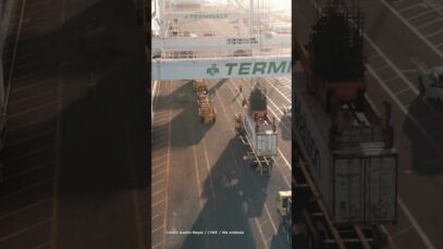 This is Live Export.
