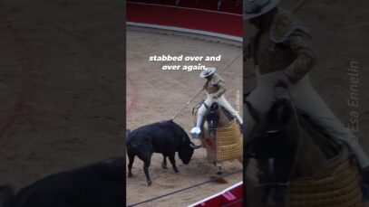 THIS isn’t ‘sport,’ it’s torture #bullfightingculture #bullfight #bullfighting #viralshorts #viral
