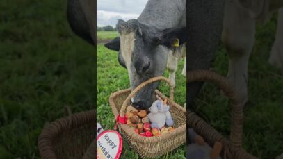 Toms 6. Geburtstag