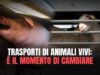 TRASPORTI DI ANIMALI VIVI: è il momento di cambiare