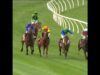 4yo Weekend Lover killed at Geelong 2025  #horseracingkills #nuptothecup