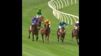 4yo Weekend Lover killed at Geelong 2025  #horseracingkills #nuptothecup