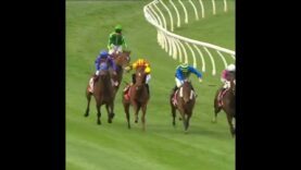 4yo Weekend Lover killed at Geelong 2025  #horseracingkills #nuptothecup