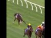 5yo Chorlton Lane broke his leg in half at Caulfield.  #horseracingkills #nuptothecup