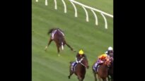 5yo Chorlton Lane broke his leg in half at Caulfield.  #horseracingkills #nuptothecup