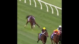 5yo Chorlton Lane broke his leg in half at Caulfield.  #horseracingkills #nuptothecup