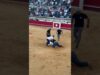 END BULLFIGHTING IN FRANCE!