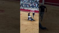 END BULLFIGHTING IN FRANCE!