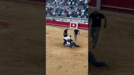 END BULLFIGHTING IN FRANCE!