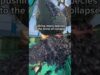 Real Facts About The Fishing Industry