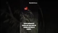 Un TORO EMBOLADO ESCAPA del recinto en JÉRICA (Castellón)