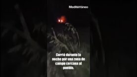 Un TORO EMBOLADO ESCAPA del recinto en JÉRICA (Castellón)