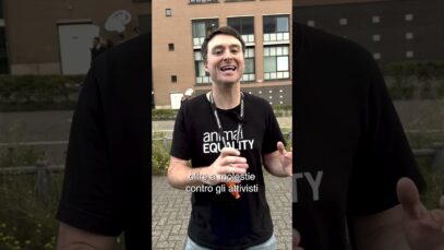 Ahold Delhaize: protesta pacifica e polizia