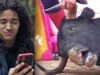 Men Share Their Thoughts on Bullfighting