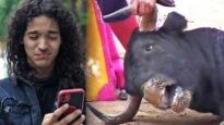 Men Share Their Thoughts on Bullfighting