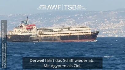 Spiridon II fährt im Libanon ein – Farm in Libyen gefunden