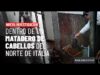 7 meses infiltrados: investigación en un matadero de caballos del norte de Italia