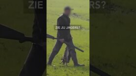 ⛔ Stop de hazenjacht!⛔
