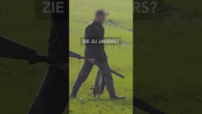 ⛔ Stop de hazenjacht!⛔