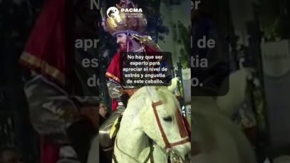 CABALLO EXTREMADAMENTE NERVIOSO EN CABALGATA INFANTIL (ALGECIRAS) | PACMA
