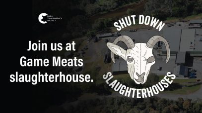 This slaughterhouse has something to hide | Game Meats Company