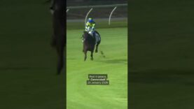 Two Racehorses Breaking Down in Victoria within a Week
