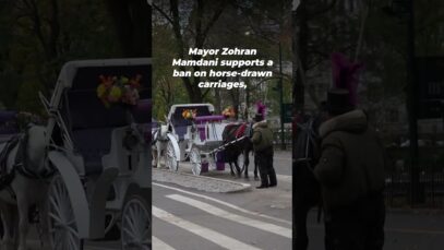 Because horses don’t belong on busy Manhattan streets with traffic, car fumes, and reckless drivers.