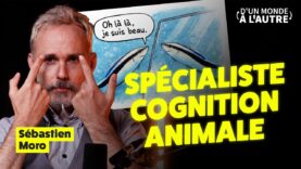 Ce petit poisson a fait trembler la science – Itw de Sébastien Moro (Vulgarisateur scientifique)