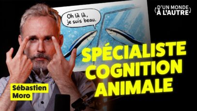 Ce petit poisson a fait trembler la science – Itw de Sébastien Moro (Vulgarisateur scientifique)