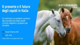 Il futuro dei cavalli in Italia: politici ed esperti a confronto | Conferenza integrale