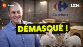 Mythomane ou visionnaire ? La vérité sur cet éleveur ‘exemplaire’