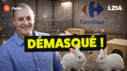 Mythomane ou visionnaire ? La vérité sur cet éleveur ‘exemplaire’