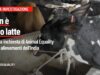 Non è solo latte: nuova inchiesta negli allevamenti dell’India