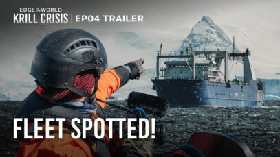 Trailer | Edge of the World: Krill Crisis | EP4